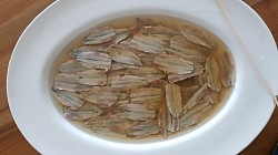 Boquerones